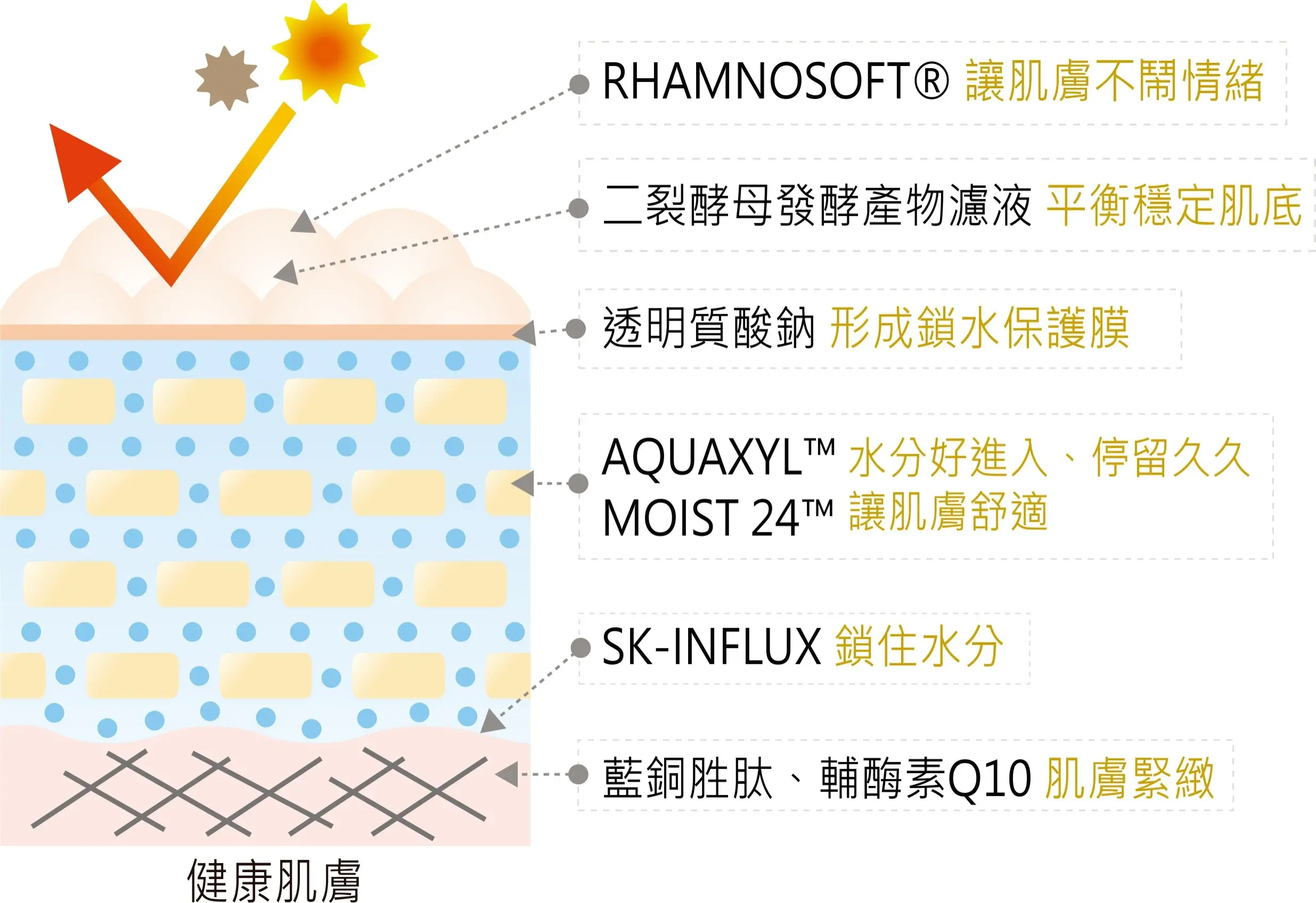 SN深潤光亮保濕凝膜精華